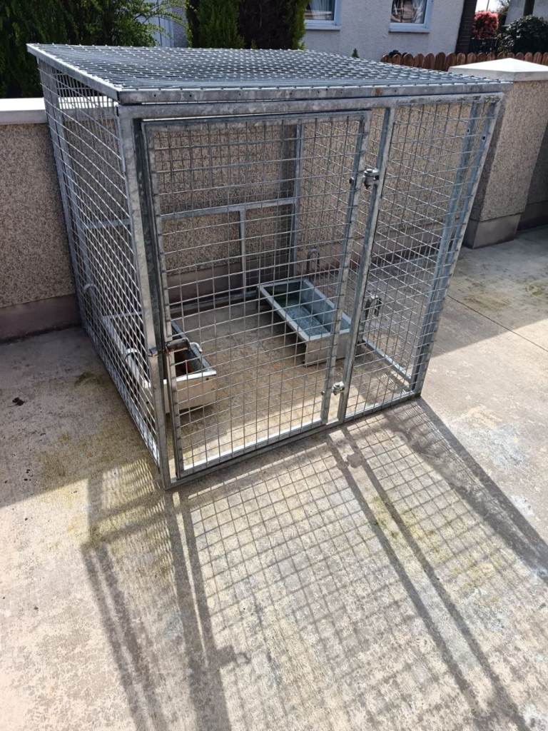 Dog. Cage 