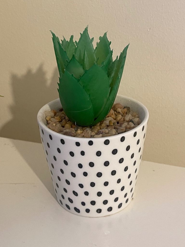 Set of 2 Artificial Potted Succulents – As Good As New