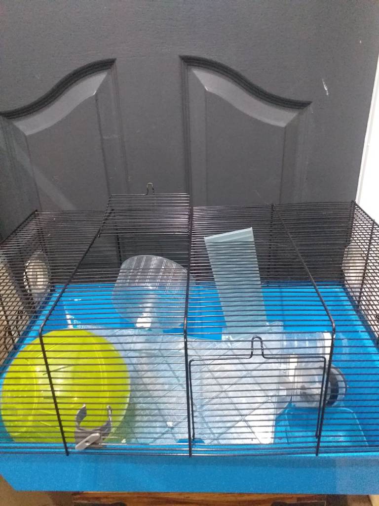 Hamster cage 