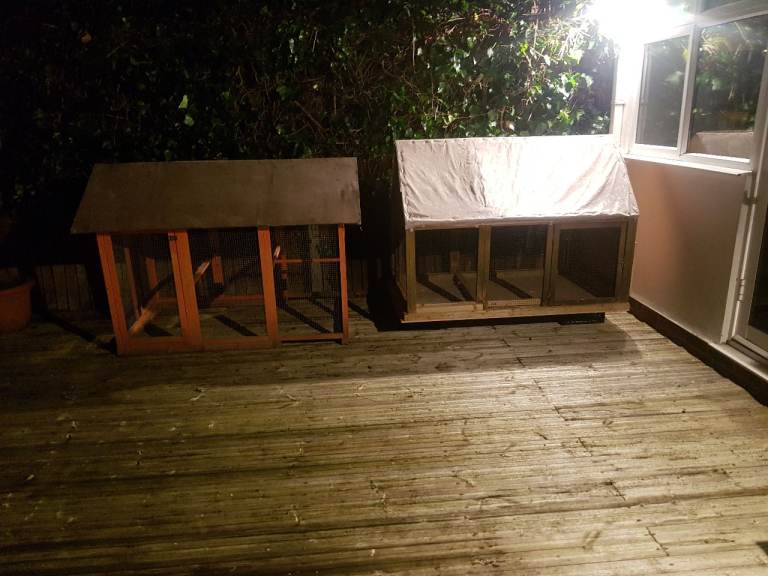 Chicken coops 