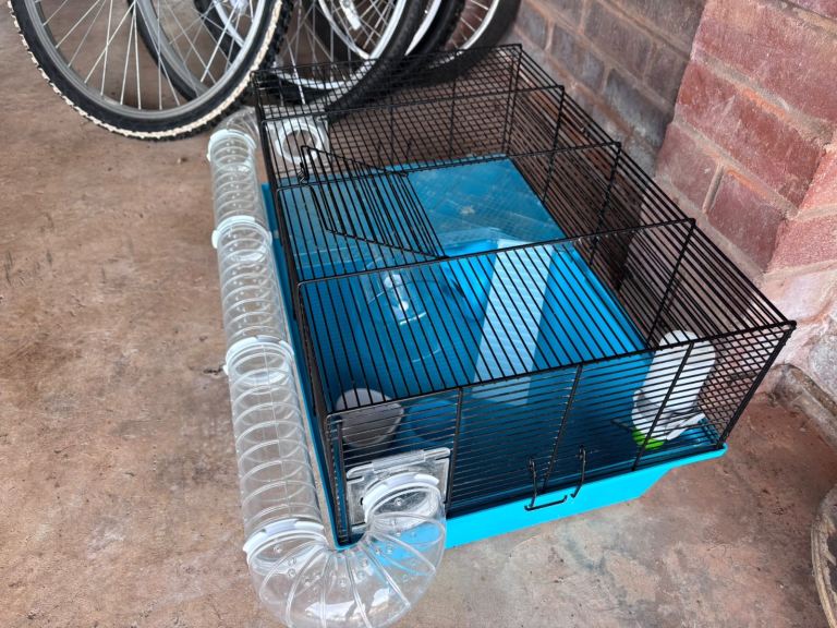 Hamster cage