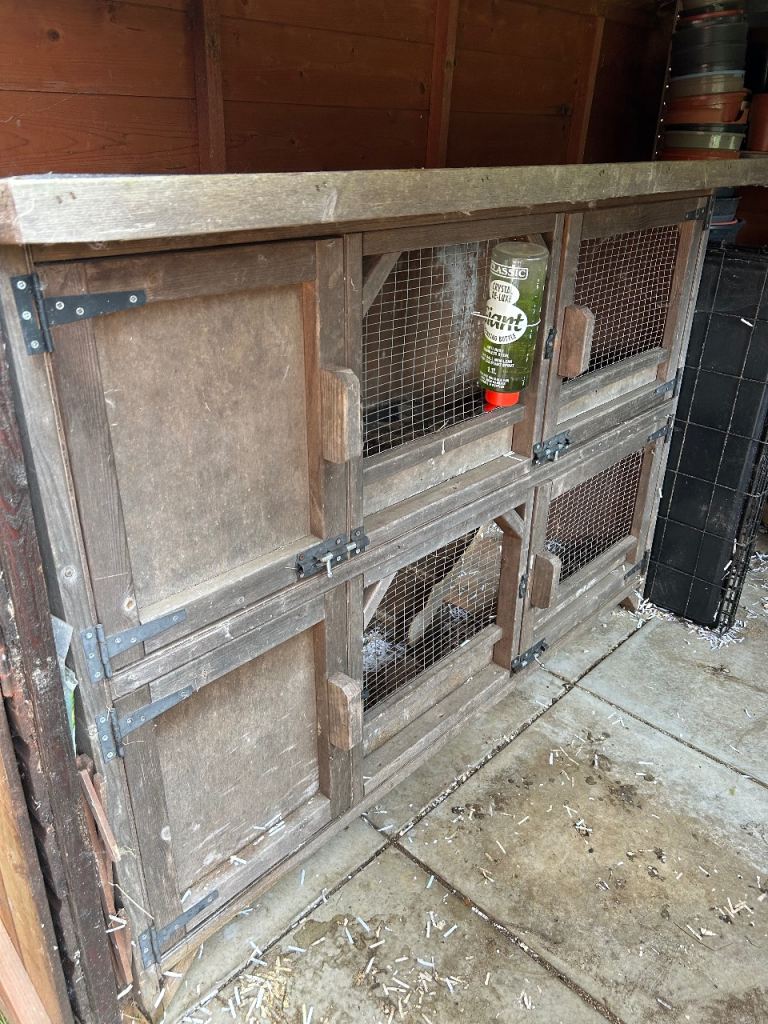 Rabbit hutch 