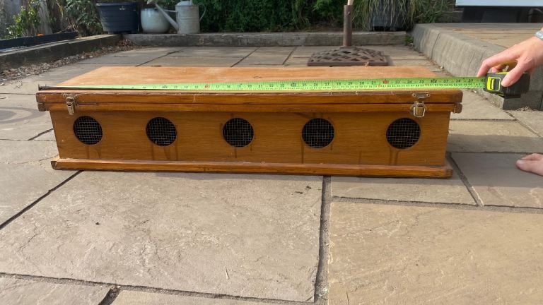 Animal transport boxes