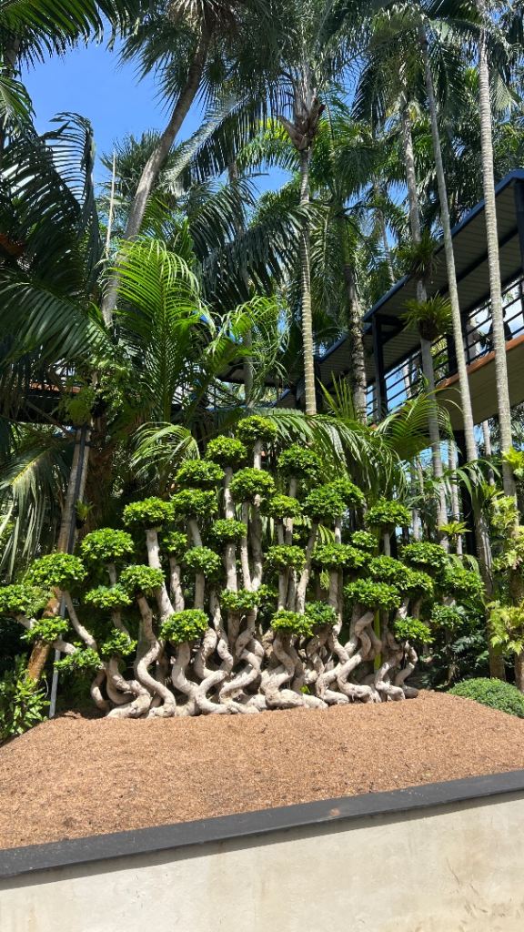 Jenny Thai Massage in Maidenhead 