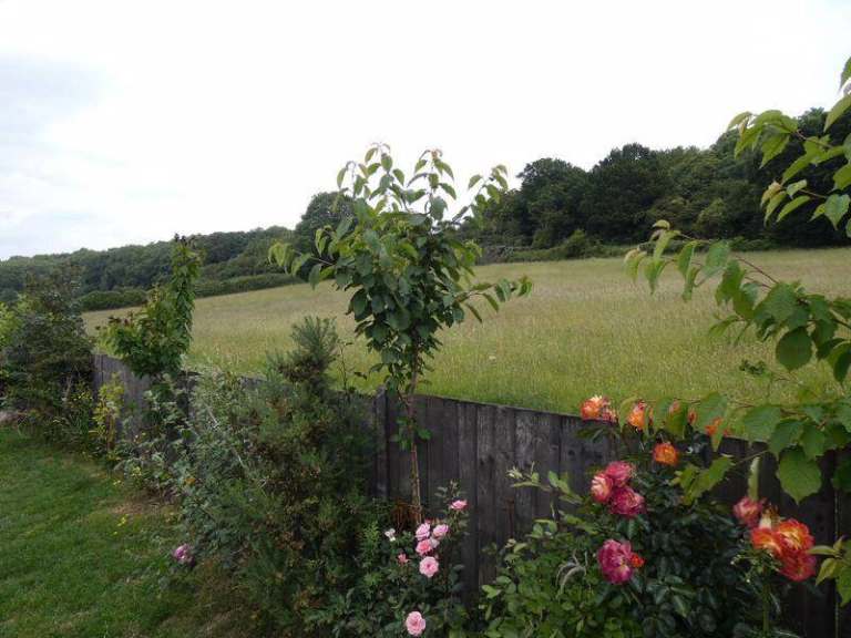 RESIDENTIAL LODGE FOR SALE - FOREST OF DEAN