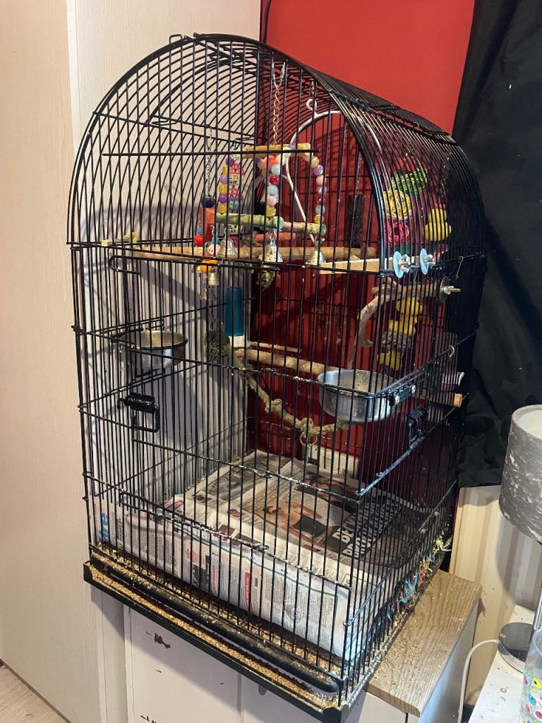 large bird cage with accessories
