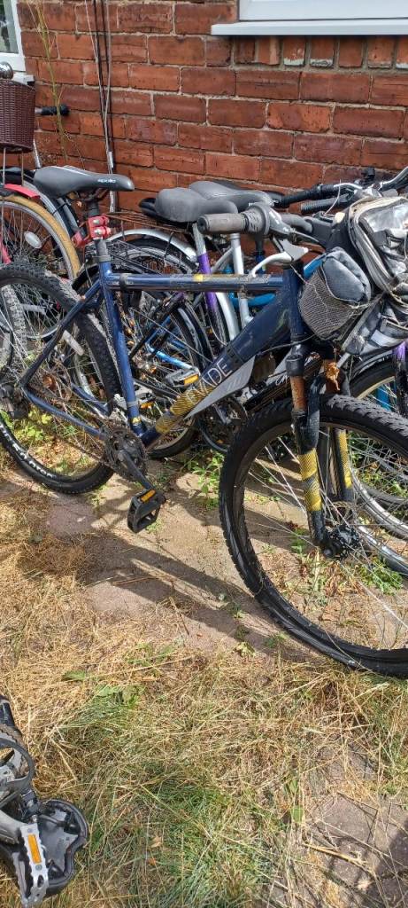 40 Adult Bikes !!! (Job Lot) 