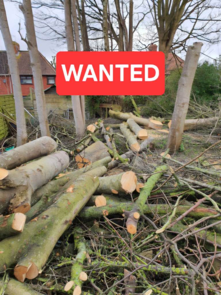WANTED - Logs