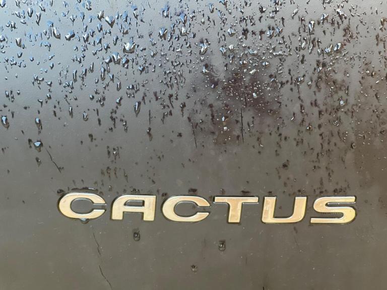 CITROEN C4 CACTUS 1.2 PureTech Flair ETG5 Euro 6 (s/s) 5dr 2017