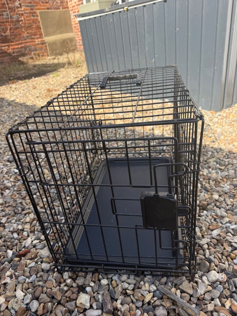 Dog carrier 