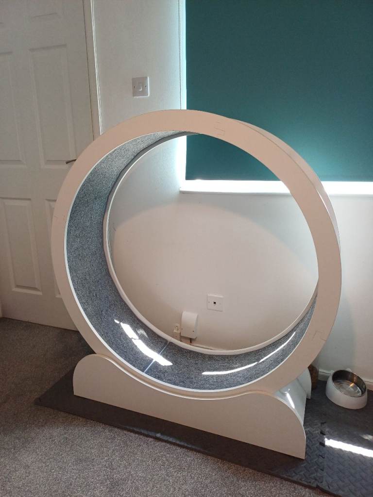 Large Cat Treadmill, Cat Wheel, 39.4 inch.  White Wood