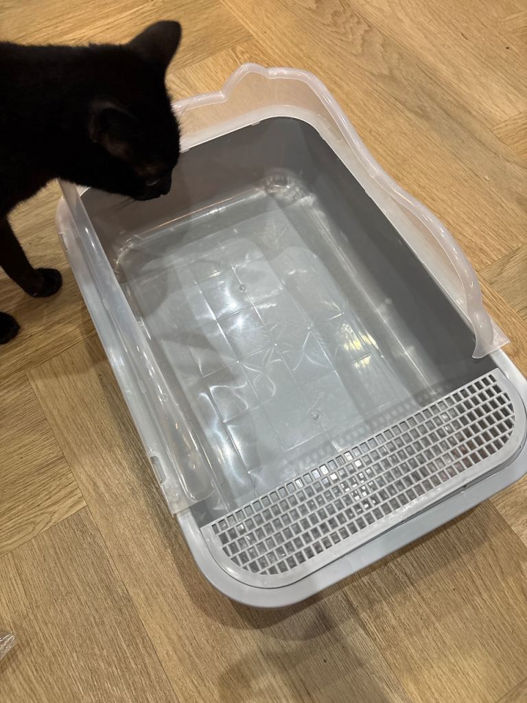 Cat litter tray