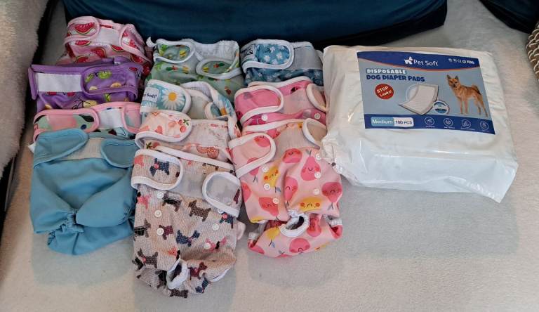 Bundle of Medium Female Dog Nappies