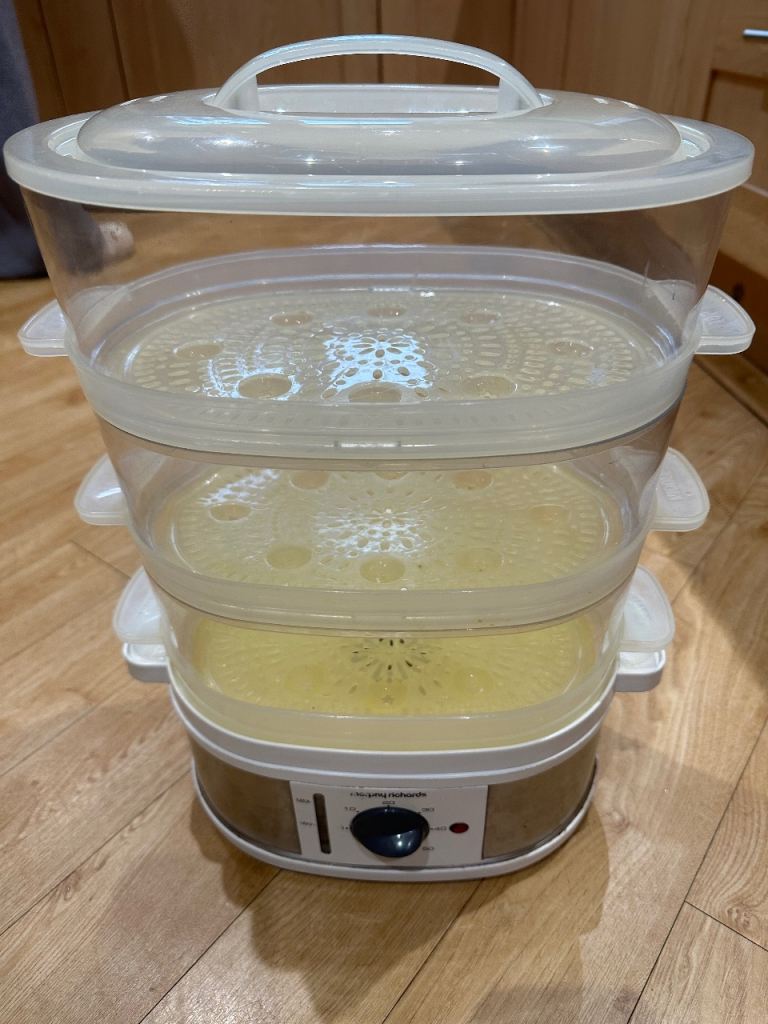 Morphy richards steamer 