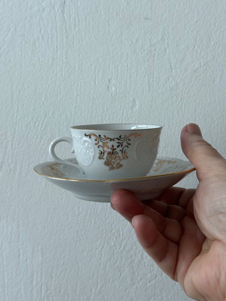 Richard Ginori 2 cups and 2saucers