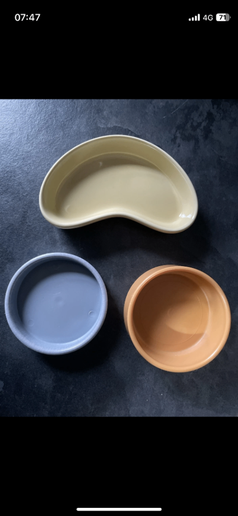3 Bowls Reptile