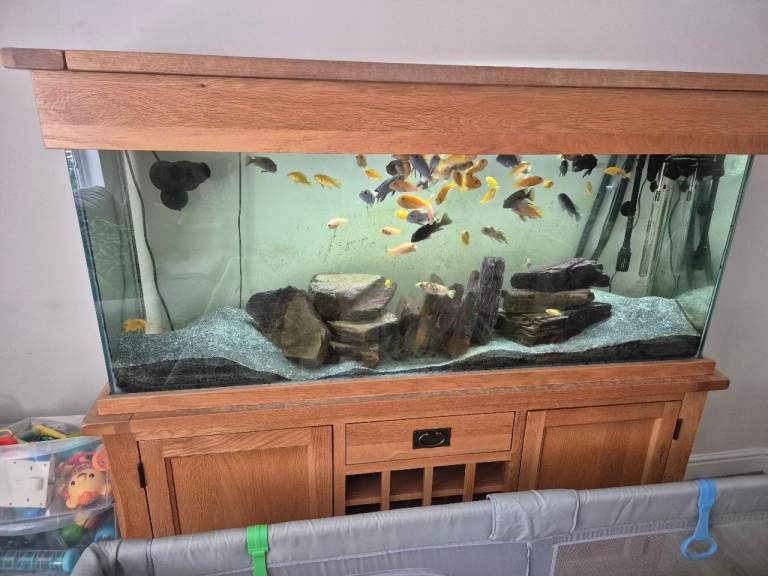 Aquaoak 160cm Aquarium 