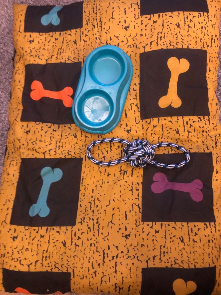 Dog bed, dual food bowl and toy