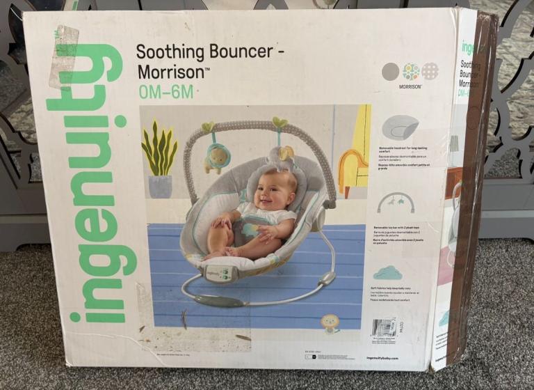 Ingenuity Soothing Baby Bouncer