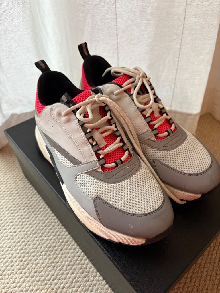 Dior b22 trainers white and pink 