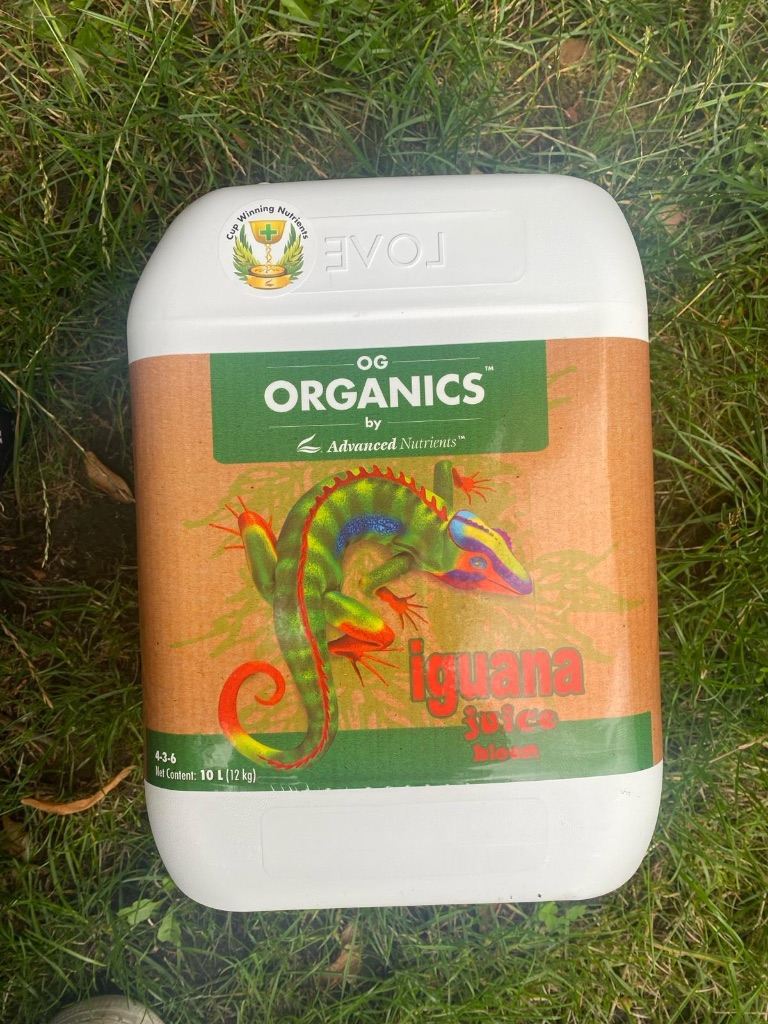 Plants organic food