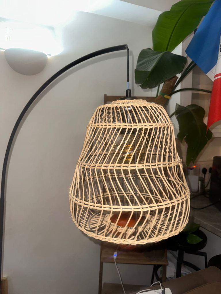 Habitat Floor Lamp