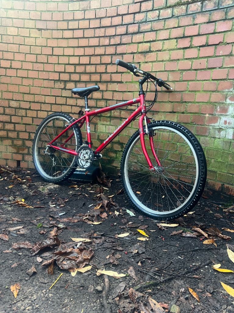Raleigh Mountain Bike