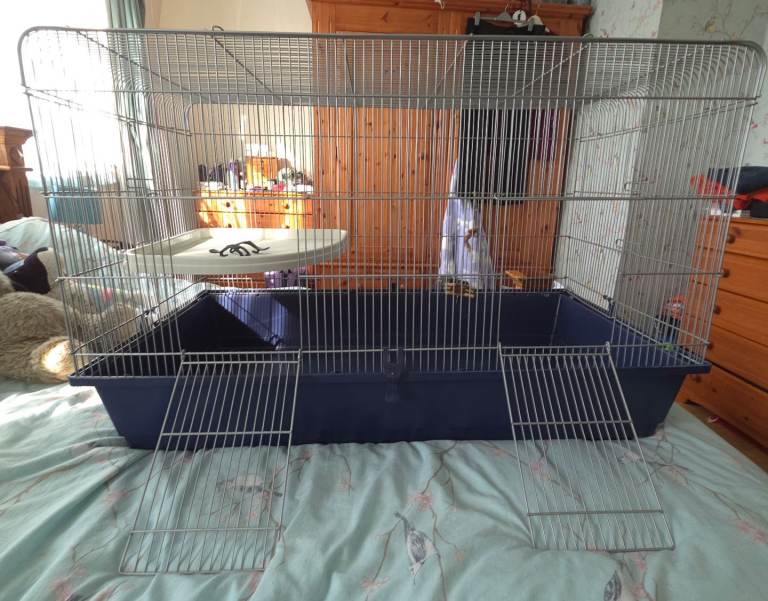 Rodent cage 