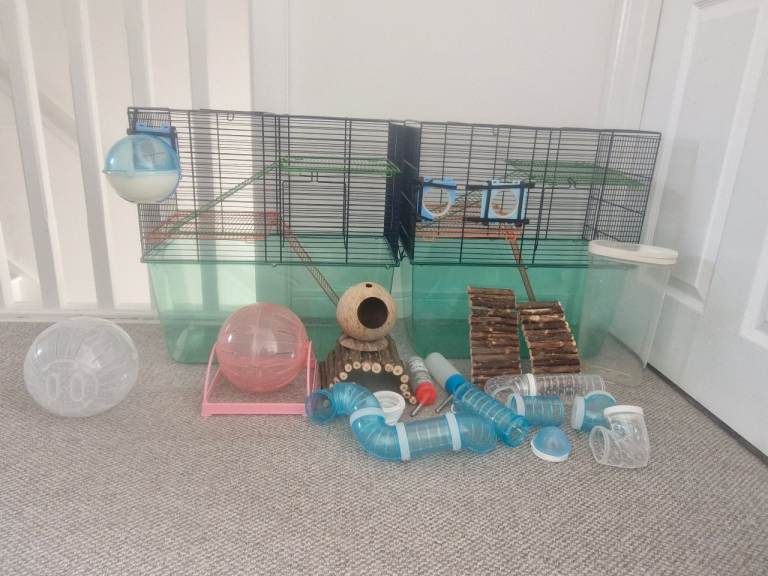 2 x gerbil cages and accessories 