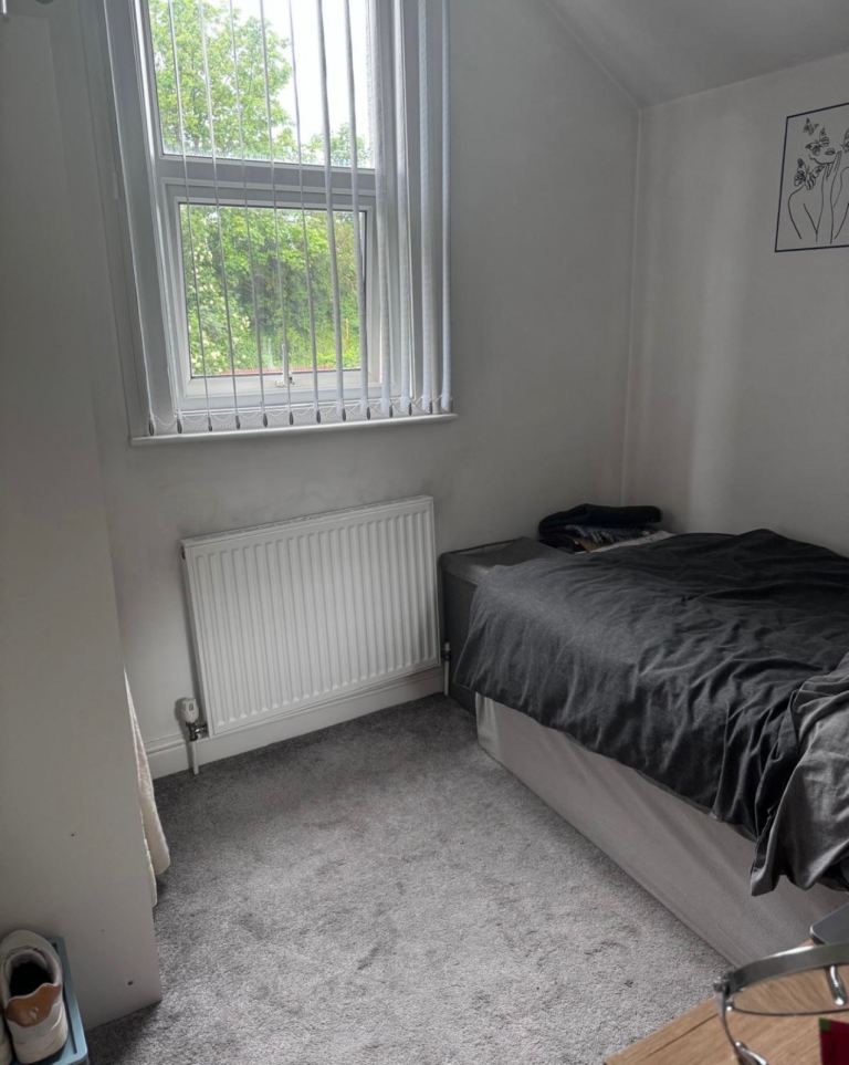 A furnished single room
