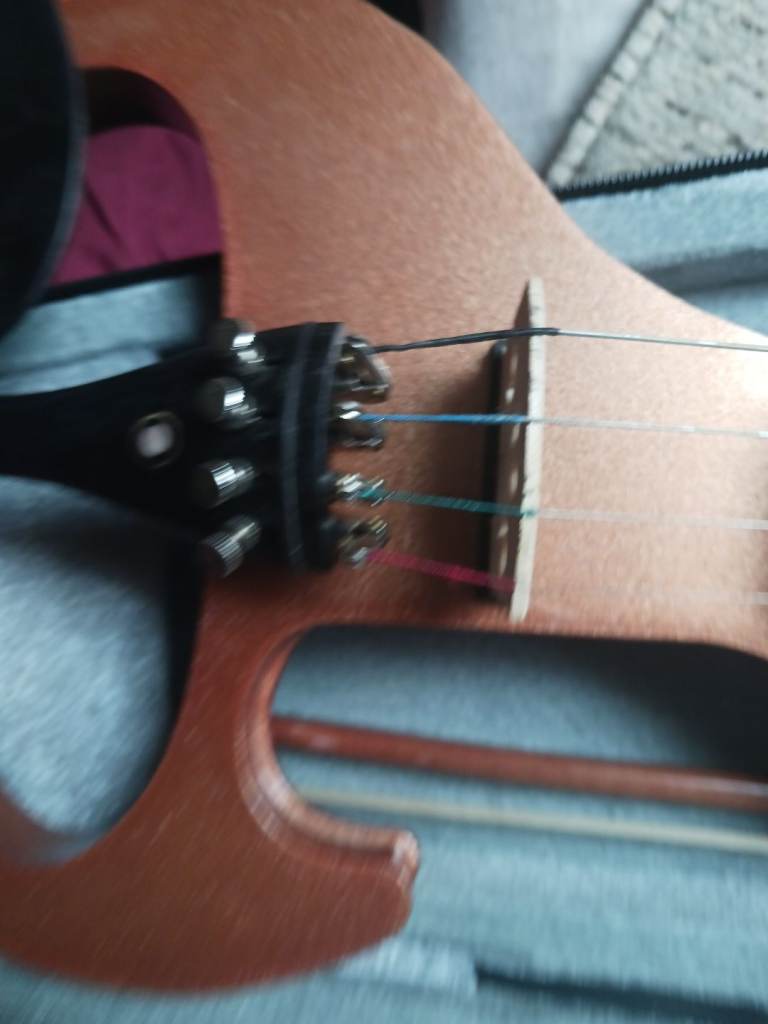 Electric violin zest