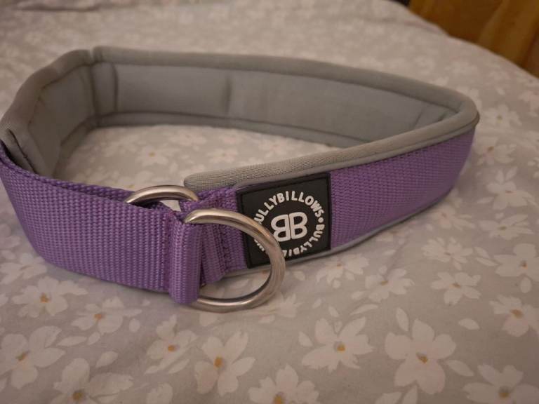 BullyBillows Slip lead. Brand New. Rrp£29.99