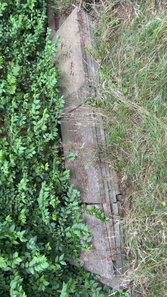 Free Garden slabs 