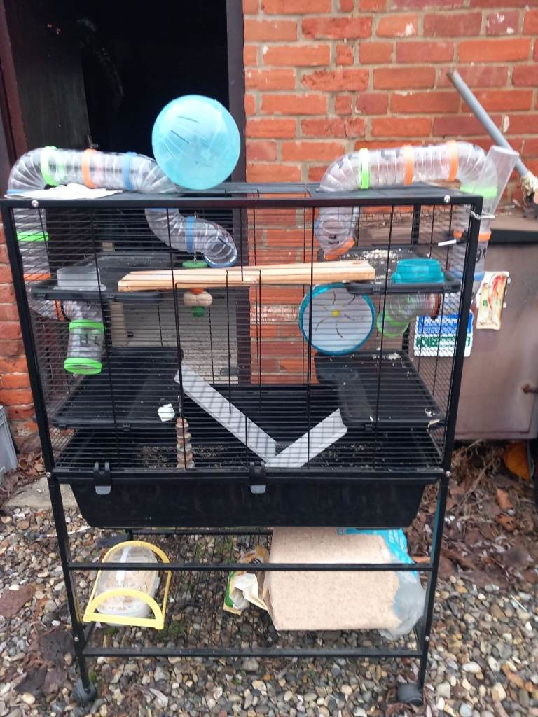 Hamster/rodent cage