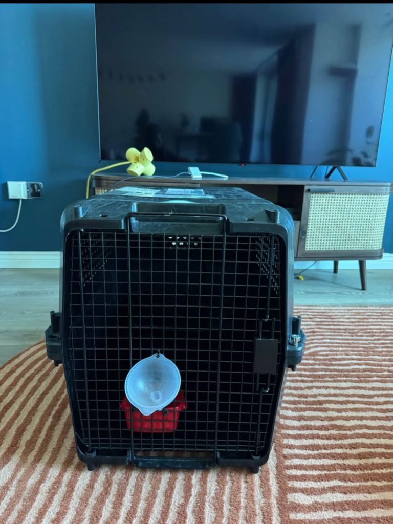 Large Airline Travel Pet Carrier / Crate – Excellent Condition