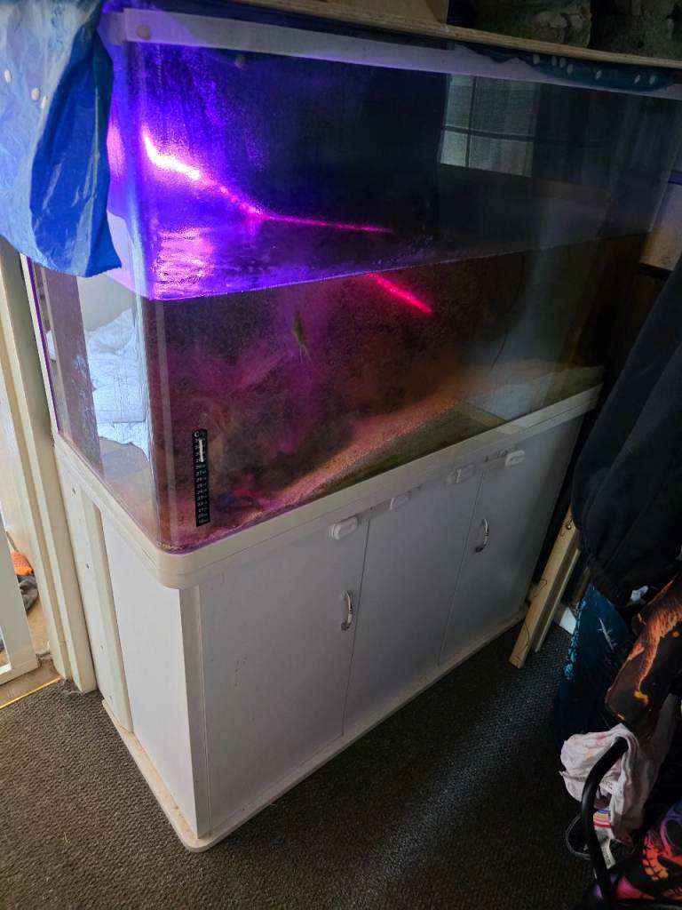 280l tank including fish