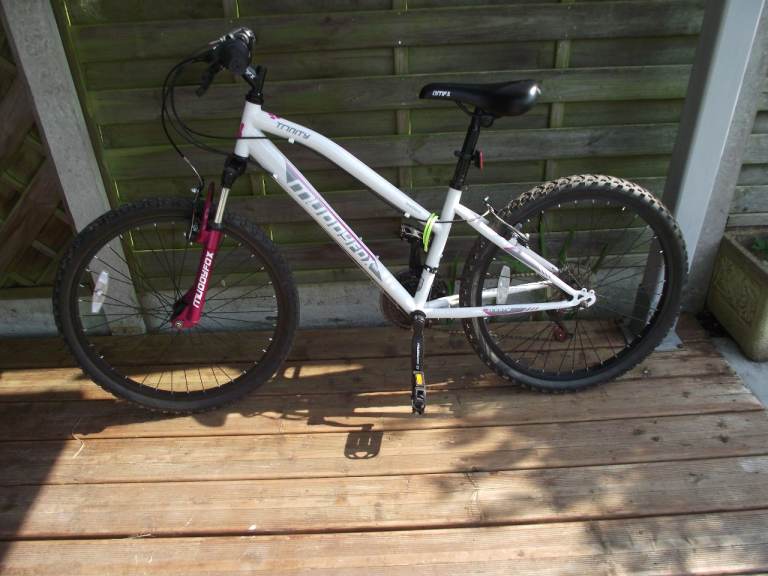 young ladies bicycle