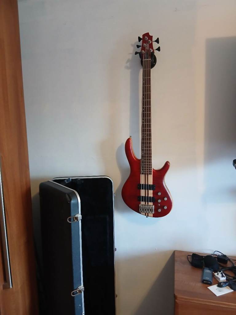 Cort artisan A5 5 string bass guitar 
