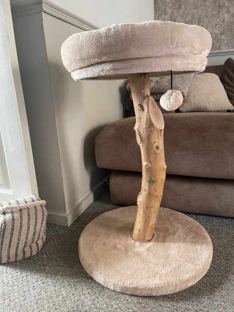 Gorgeous unusual cat bed/table