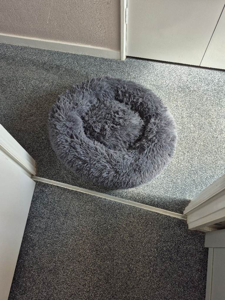 Small dog bed