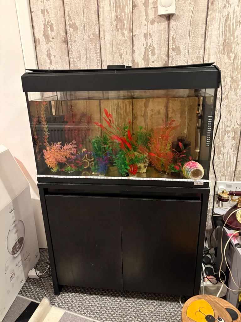 Fluval fish tank