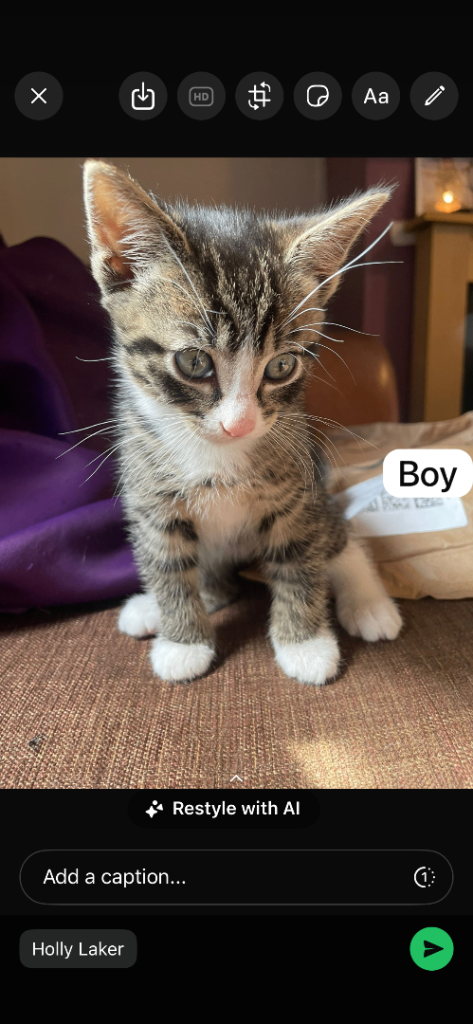 Kittens ready on sat 