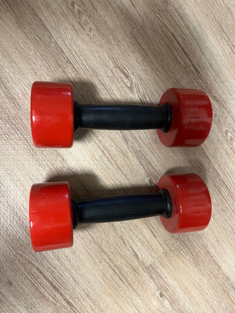 2 - 3kg Dumbbells 