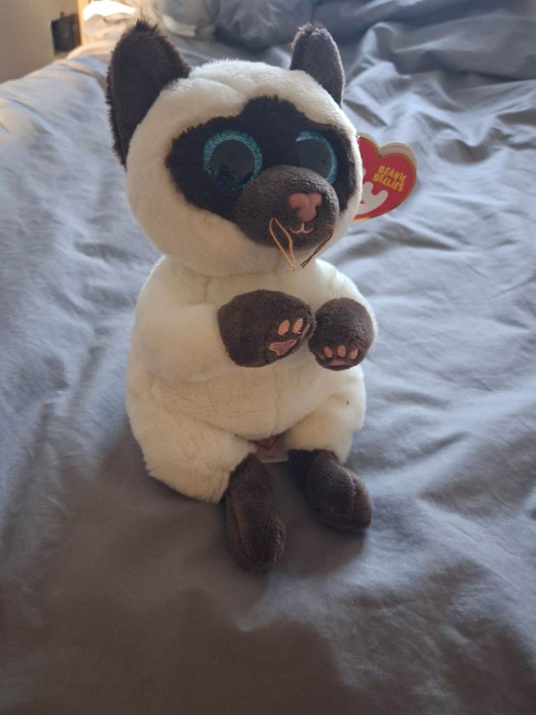Ty Beanie Boos Siamese Cat Plush Toy - With Tag