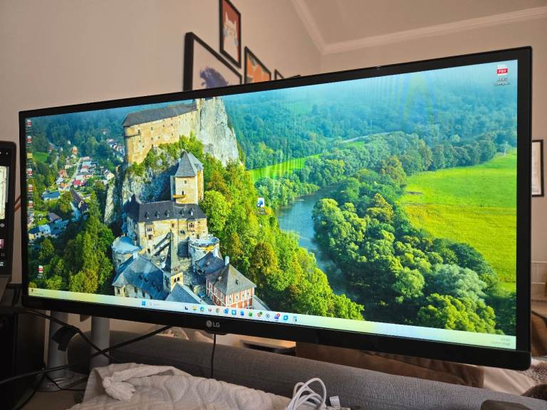 LG Ultrawide Monitor  29 inch