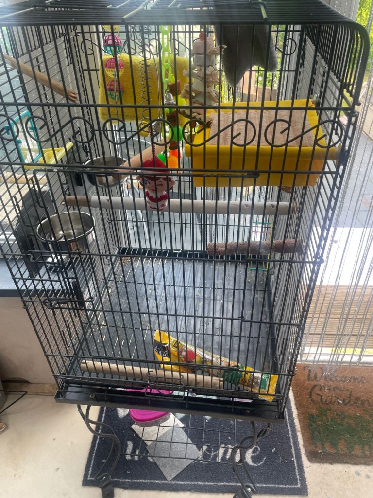 Large bird cage 