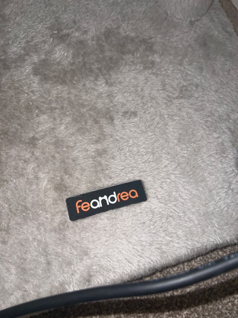 Boy kitten with free cat house and scratcher