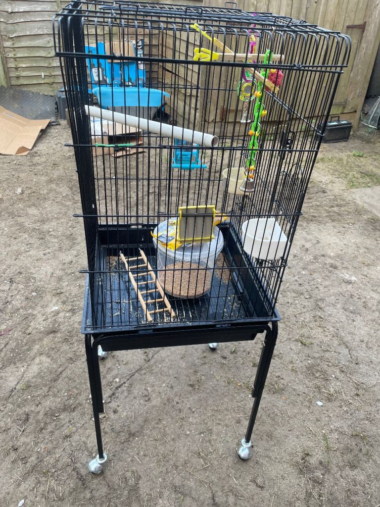 Birds cage 