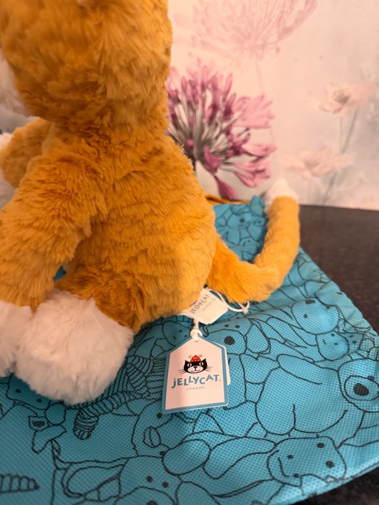 Jellycat Fuddlewuddie Ginger Cat Soft Toy – Brand New with Tags