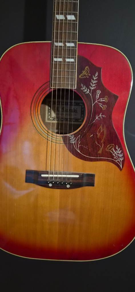 Kiso hummingbird  guitar